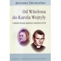 Od Witelona do Karola Wojtyły. Z dziejów polskiej aksjologii i filozofii kultury